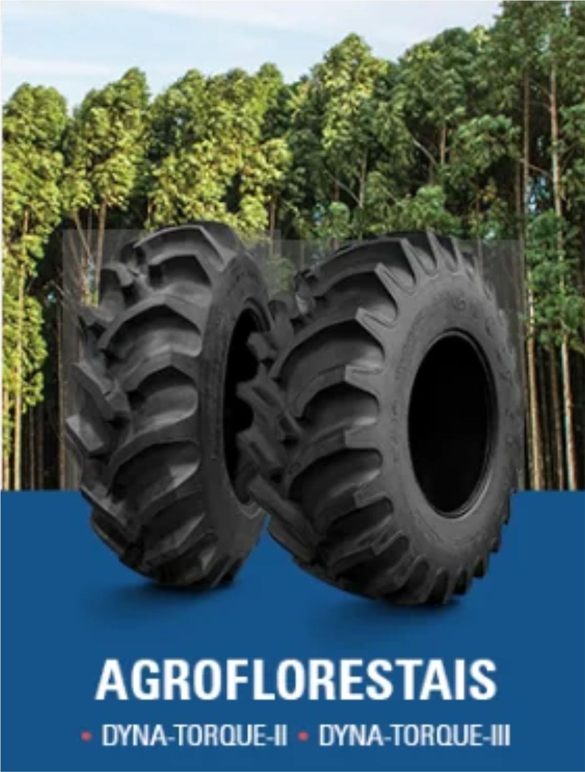 Pneus Agroflorestais